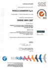 OHSAS_18001_гибкая_черепица_TEGOLA